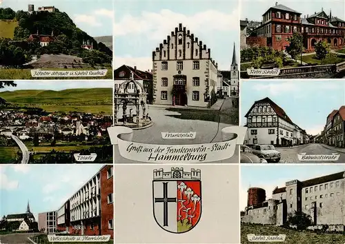 AK / Ansichtskarte  Hammelburg Kloster Altstad Panorama Volksschule Marktplatz Rotes Schloss Bahnhofstrasse Schloss Saaleck