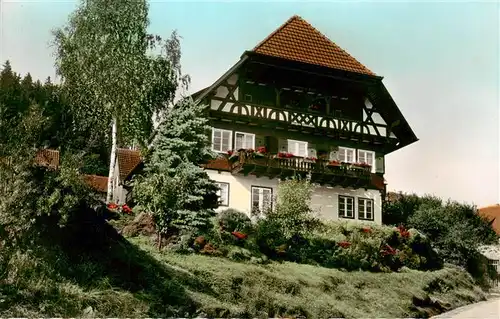 AK / Ansichtskarte  Alpirsbach Pension Schoenblick