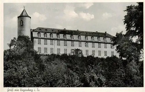 AK / Ansichtskarte 73914728 Ziegenberg Schloss