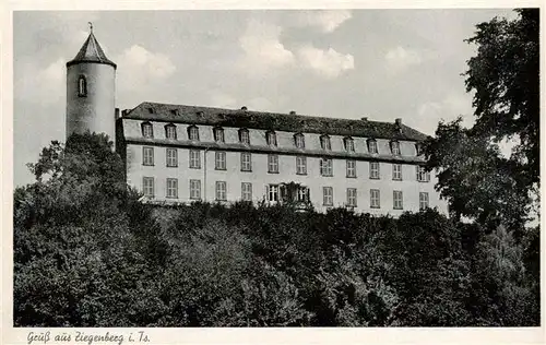 AK / Ansichtskarte  Ziegenberg Schloss