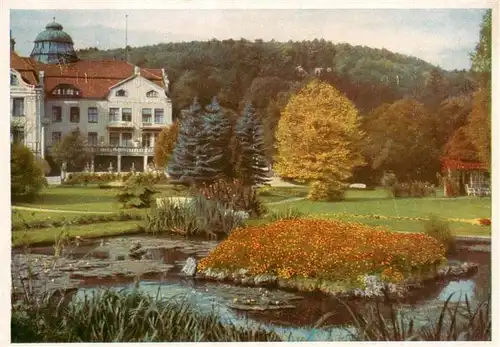 AK / Ansichtskarte  Bad_Salzschlirf Badehof mit Goldfischteich