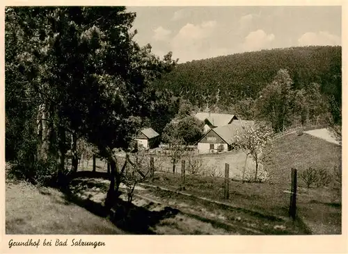 AK / Ansichtskarte  Bad_Salzungen Grundhof