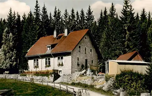 AK / Ansichtskarte  Blasiwald Pension Waldheim