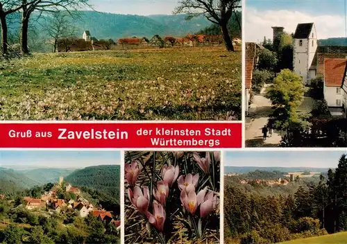 AK / Ansichtskarte 73915112 Zavelstein Panorama Kirche Teilansichten