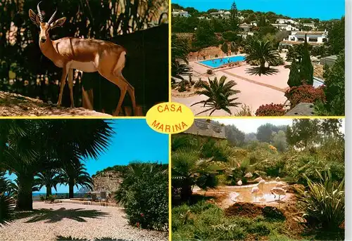 AK / Ansichtskarte 73915181 Benissa_Alicante_ES Playa Abogat Strand Schwimmbad Park Rehbock