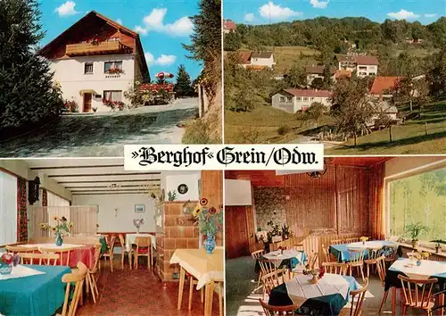 AK / Ansichtskarte  Grein_Heidelberg_Neckar Cafe Pension Berghof Grein Gastraeume