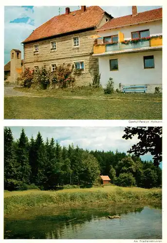 AK / Ansichtskarte  Schindelsee Gasthof Pension Hofmann Am Friedleinsbrunnen