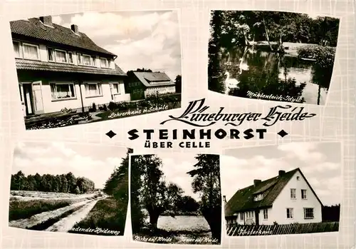 AK / Ansichtskarte  Steinhorst_Niedersachsen :enrer

Lehrerhaus und Schule Muehlenteich Heideweg Foersterhaus Birke und Tanne auf Weide
