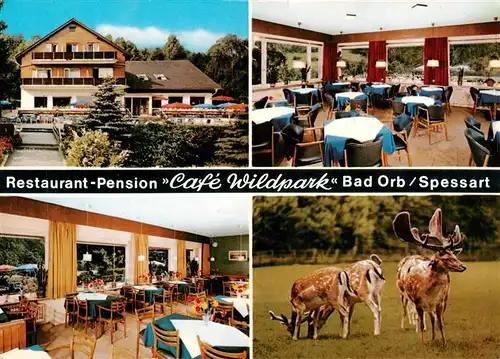 AK / Ansichtskarte  Bad_Orb Restaurant Pension Cafe Wildpark Gastraeume Damwild