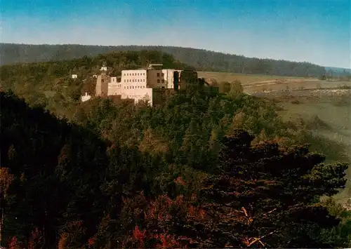 AK / Ansichtskarte  Altleiningen Jugendherberge Burg Altleiningen Fliegeraufnahme