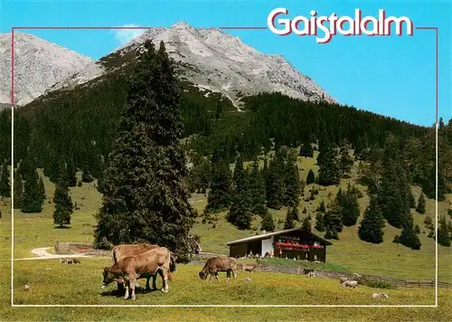 AK / Ansichtskarte  Gaistalalm_1420m_Leutasch_Tirol_AT Panorama mit Predigtstuhl und Wetterstein