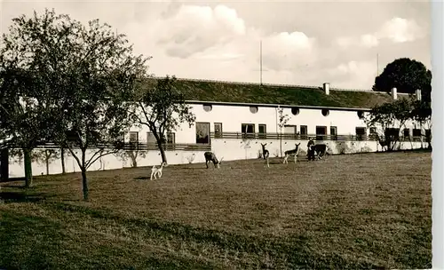 AK / Ansichtskarte  Geislitz Landgut Geisberg