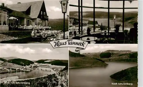 AK / Ansichtskarte  Schulenberg_Oberharz Hotel Gaststaette Haus Tanneck Terrasse Blick von Schulenberg Panorama