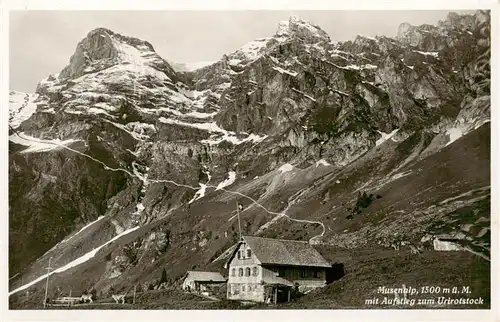 AK / Ansichtskarte  Musenalp_1500m_NW mit Aufstieg zum Urirotstock