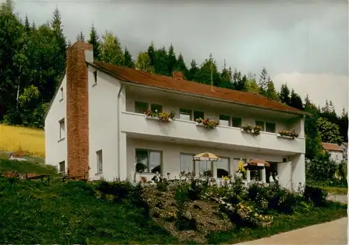 AK / Ansichtskarte  Grafengehaig Pension Schindelwald