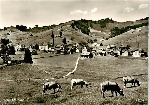 AK / Ansichtskarte  Gonten_IR Panorama