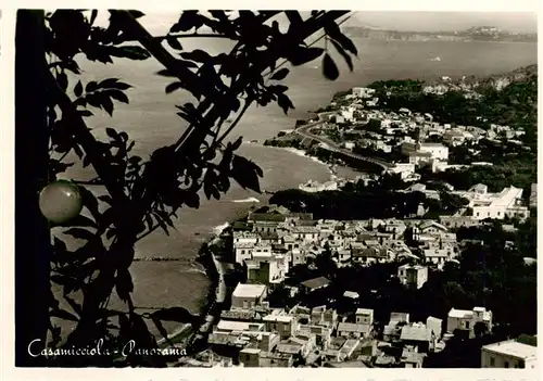 AK / Ansichtskarte  Casamicciola_Isola_d_Ischia_IT Panorama