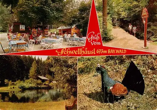 AK / Ansichtskarte 73916431 Bayerisch_Eisenstein Gaststaette Schwellhaeusl Freiterrasse Schwanenteich Auerhahn Waldweg