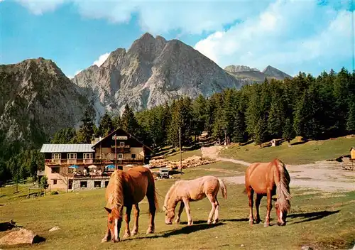 AK / Ansichtskarte  Hafling_Avelengo-Falzeben_IT Gasthof Alpenrose mit Ifinger Haflinger auf der Weide