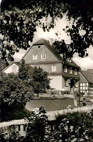 AK / Ansichtskarte  Liesen_Hallenberg_Hochsauerland Pension Theo Schnorbus