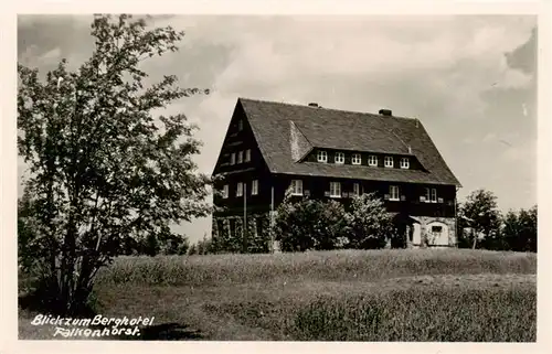 AK / Ansichtskarte  Altenberg__Osterzgebirge Berghotel Falkenhorst