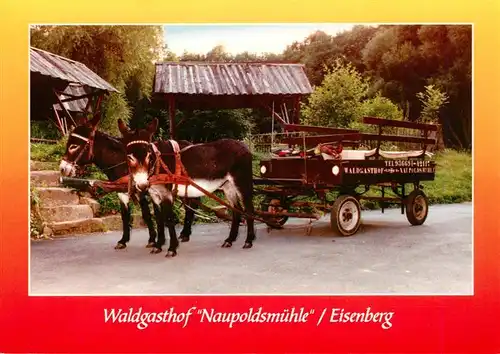 AK / Ansichtskarte 73916960 Eisenberg__Thueringen Waldgasthof Naupoldsmuehle Eselsfuhrwerk