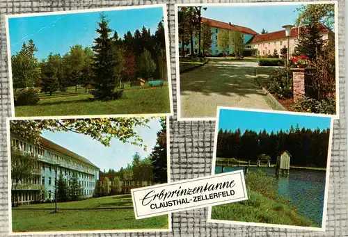 AK / Ansichtskarte  Clausthal-Zellerfeld Kurklinik Erbprinzentanne Park Schwanenteich