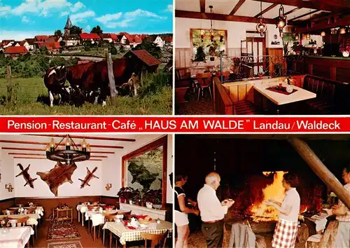 AK / Ansichtskarte 73917159 Landau_Waldeck Pension Restaurant Cafe Haus am Walde Gastraeume Grill