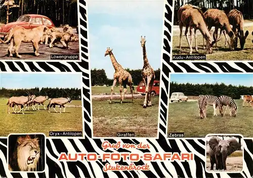 AK / Ansichtskarte 73917246 Stukenbrock_Schloss_Holte-Stukenbrock Senne Grosswild Safari Loewen Oryx Antilopen Giraffen Zebras Kudu Antilopen