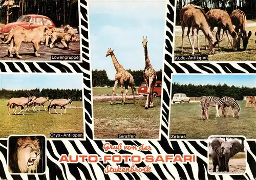 AK / Ansichtskarte  Stukenbrock_Schloss_Holte-Stukenbrock Senne Grosswild Safari Loewen Oryx Antilopen Giraffen Zebras Kudu Antilopen