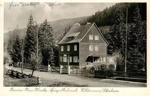 AK / Ansichtskarte  Wildemann_Harz Pension Haus Hueneke Spiegeltalereck