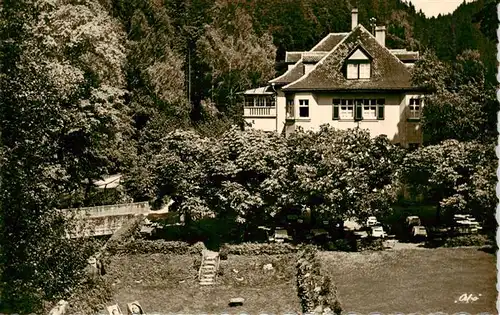 AK / Ansichtskarte  Wirsberg Hotel Pension Hubertus