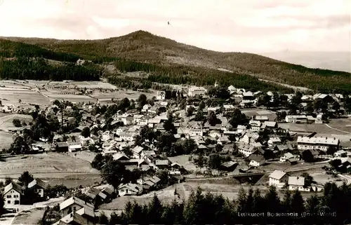 AK / Ansichtskarte  Bodenmais Panorama Luftkurort