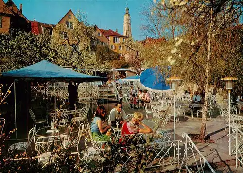 AK / Ansichtskarte  Rothenburg__Tauber Hotel Eisenhut Parkterrasse