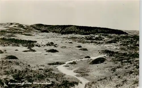 AK / Ansichtskarte  Bloemendaal_aan_Zee_NL Kennemerduinen