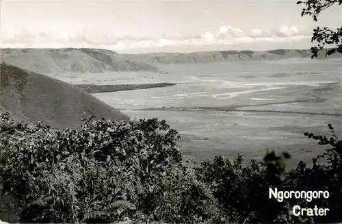 AK / Ansichtskarte  Ngorongoro_Crater_Tansania Panorama