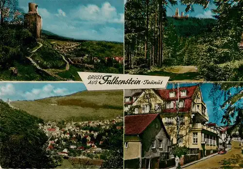 AK / Ansichtskarte 73917951 Falkenstein_Taunus Schloss Waldpartie Panorama Ortspartie