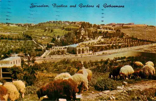 AK / Ansichtskarte  Jerusalem__Yerushalayim_Israel Basilica and Gardens of Gethsemane