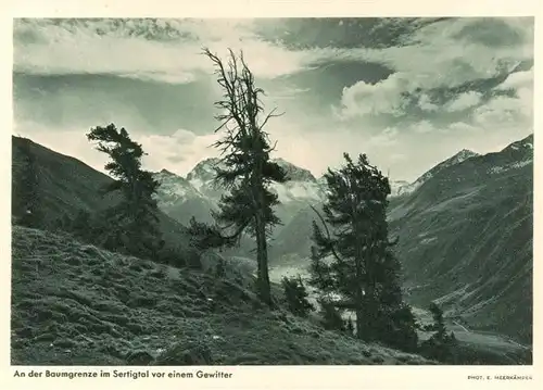 AK / Ansichtskarte  Sertigtal_GR An der Baumgrenze vor einem Gewitter