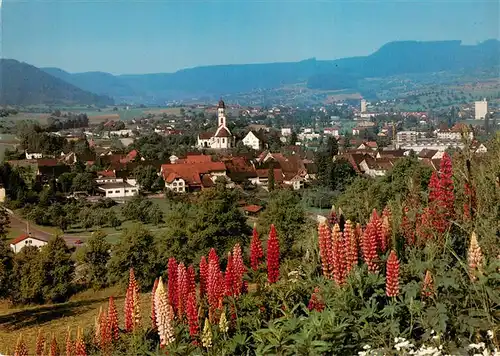 AK / Ansichtskarte  Frick_AG Panorama