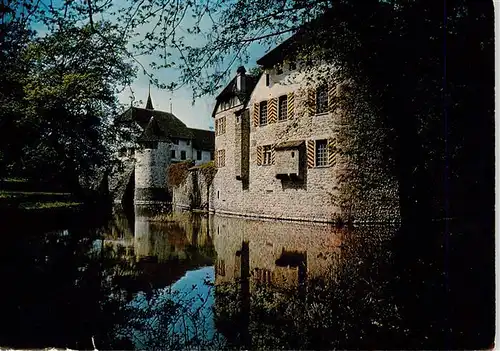 AK / Ansichtskarte  Hallwil_Hallwyl_AG Schloss Hallwil