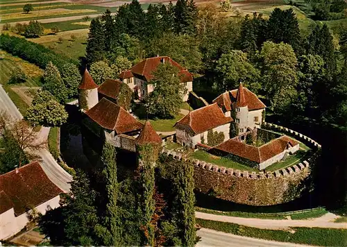 AK / Ansichtskarte  Hallwil_Hallwyl_AG Schloss Hallwil Fliegeraufnahme