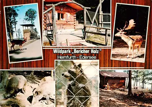 AK / Ansichtskarte 73918517 Hemfurth-Edersee Wildpark Bericher Holz Teilansichten