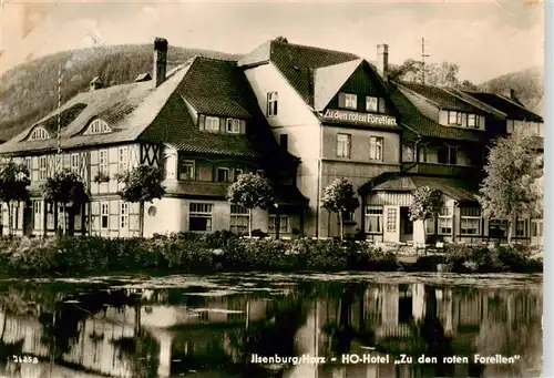 AK / Ansichtskarte  Ilsenburg_Harz HO Hotel Zu den roten Forellen