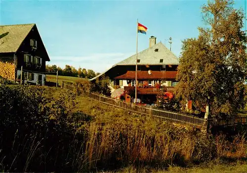 AK / Ansichtskarte  Hinterzarten Schwarzwaldhaus Germania Hohentwiel