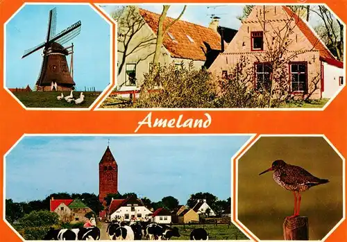 AK / Ansichtskarte  Ameland_NL Muehle Ortspartien