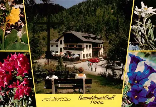 AK / Ansichtskarte 73918891 Trattenbach Alpengathof Kummerbauerstadl Alpenflora
