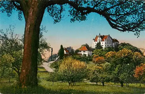 AK / Ansichtskarte  Stettfurt_TG Schloss Sonnenberg