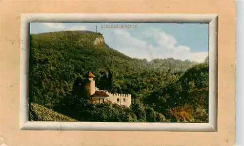 AK / Ansichtskarte  Arlesheim_BL Schloss Birseck