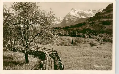 AK / Ansichtskarte  Seelisberg_UR Panorama